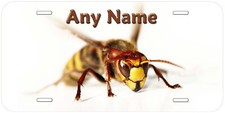 Giant Hornet Any Name