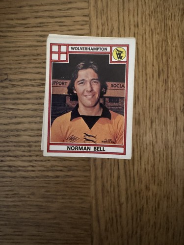 Panini football stickers - football, 78