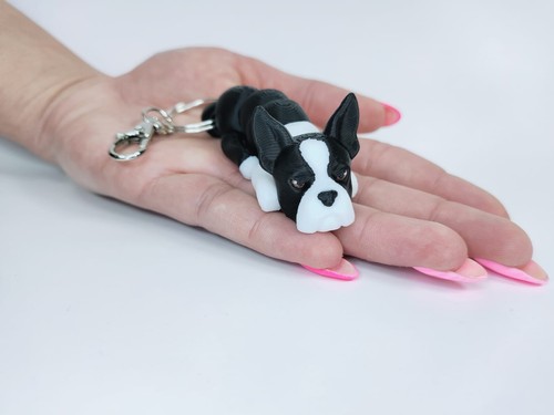 Printed boston terrier - printed,