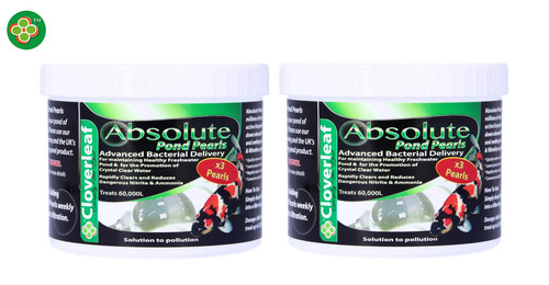 Cloverleaf absolute pond - absolute,
