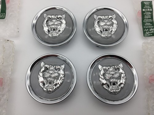 Genuine jaguar grey - genuine, &