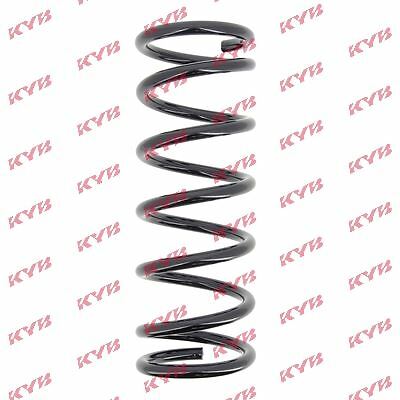 Rear axle suspension - suspension, coil
