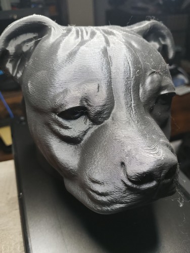 Staffordshire bull terrier - bull,