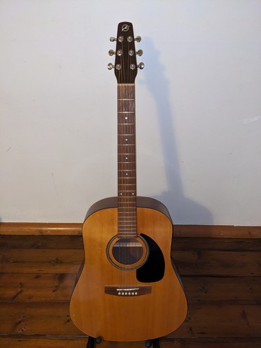 Rare seagull guitar - rare,