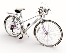 Vintage Raleigh Candice