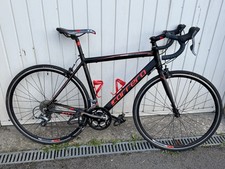Carrera Virtuoso Road Bike