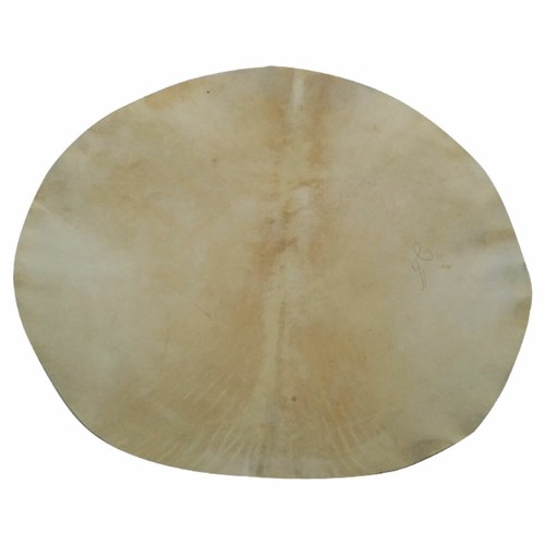 Drum head goat skin - sd,
