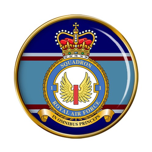 Squadron raf pin - 1, squadron,
