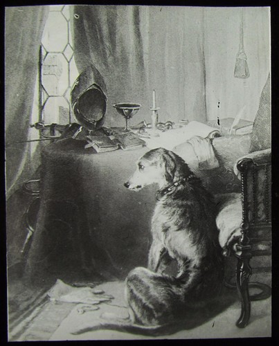 Glass magic lantern slide - slide, high