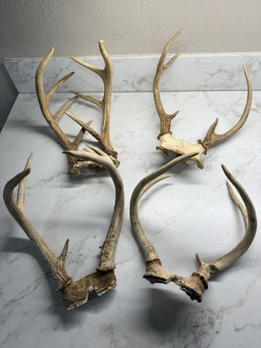 Vintage small arkansas - 4,
