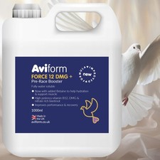 AVIFORM FORCE 12 DMG 1000ml LIQUID TONIC PIGEONS RACING FLYING PRE BOOSTER RACE
