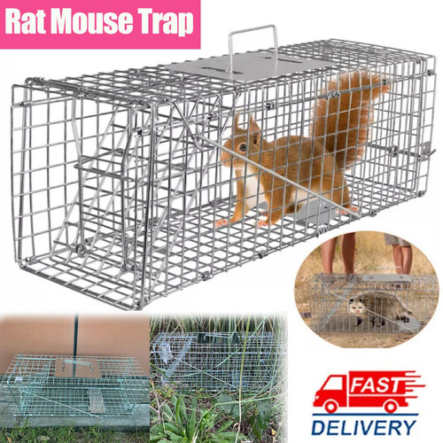 Rat small animal cage trap - cage,