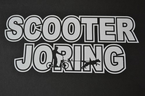 Sled dog spirit scooter joring - dog,