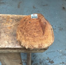 Brown Mallee Burl / Burr