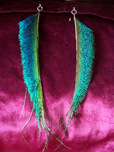 Beautiful unusual peacock - beautiful,