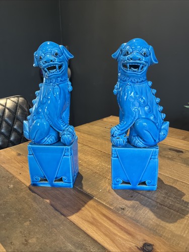 Turquoise chinese foo - 2x, dog