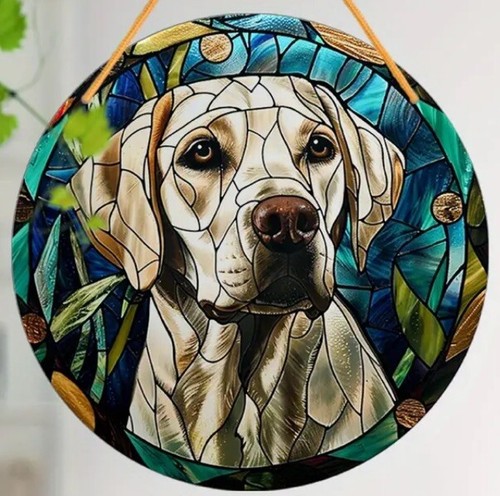 Sale labrador yellow - yellow, dog