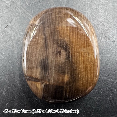 Fossil wood worry stone - worry, palm