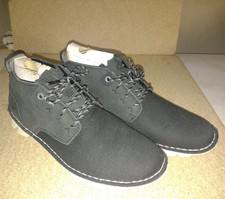 Caterpillar Almanac Canvas