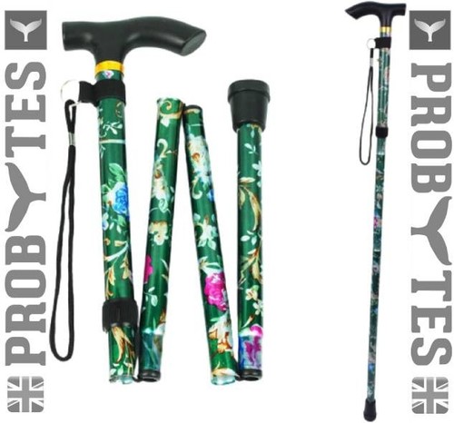 Walking stick easy - walking,