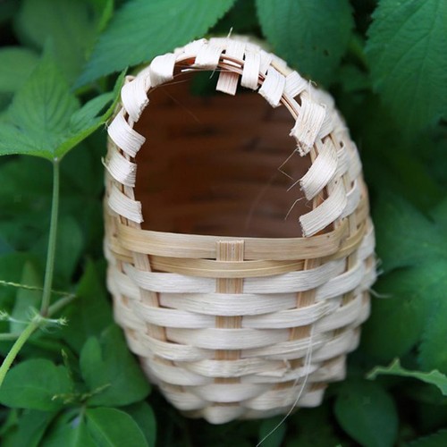 10x handmade bamboo - bamboo, canary