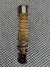 ROAB buffaloes Portsmouth UK