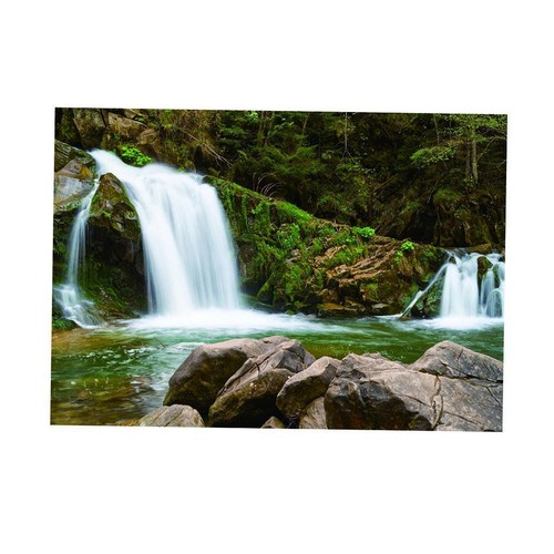 Aquarium background backdrop - aquarium,