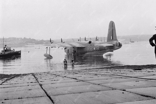 The raf short - the,