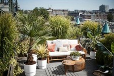 Flower Plant Pots Recycled Plastic Elho Greenville Round- multiple size/colours!