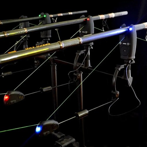 Wireless carp fishing - carp,