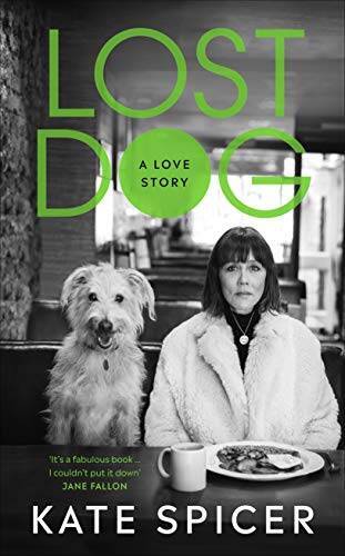 Lost dog love story - love,