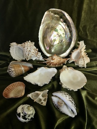 Antique collection genuine - antique,