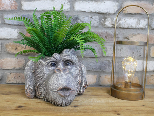 Rustic monkey head - rustic,