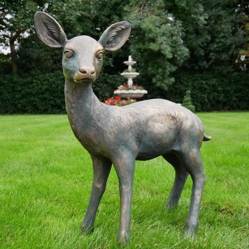 Stunning baby deer garden - baby,