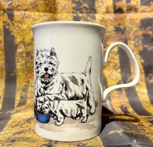 Roy kirkham westie - roy, dog