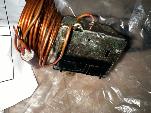 Glowworm 202503 s202503 - 202503,