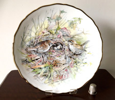 Royal Albert Bone China Display Plate "Wren"  From The Garden Bird Series 1989