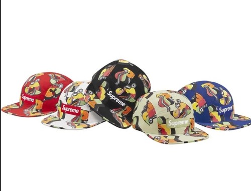 Fall winter 2016 supreme x - fall,