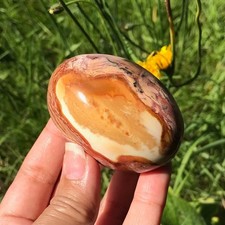 Polychrome Jasper Palm Pink Crystal Stone Part Polished