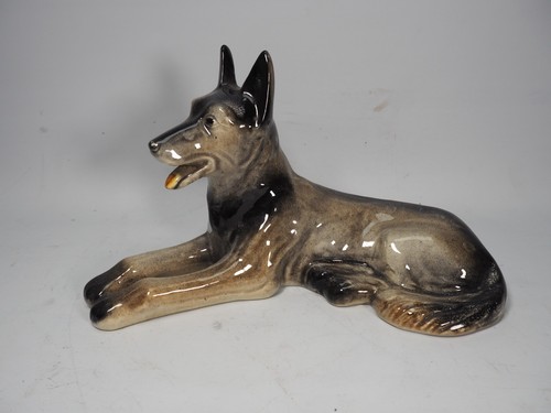 Alsatian german shepherd - alsatian,