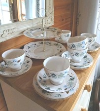 Colclough Linden 19pc TEA SET