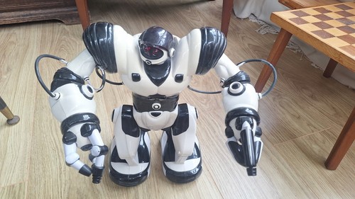 Vintage 2004 wowwee black - vintage,