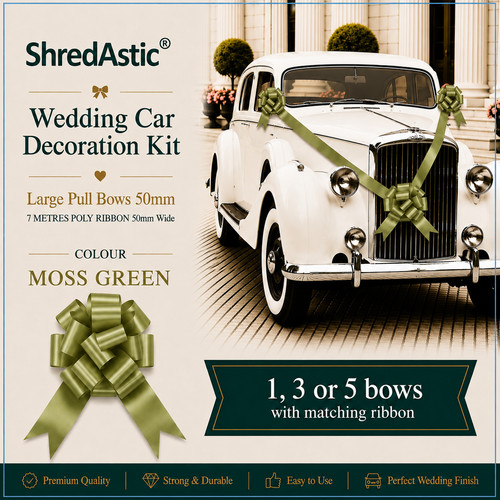 Shredastic wedding car - ,