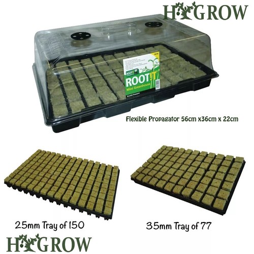 Root propagation or 150 - 77,