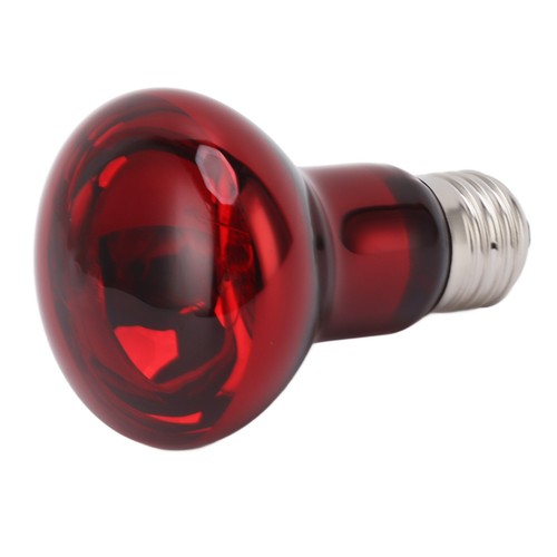 Reptile heat lamp - reptile, bulb