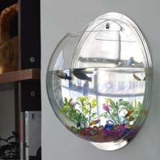 Wall Mounted Acrylic Fish Bowl