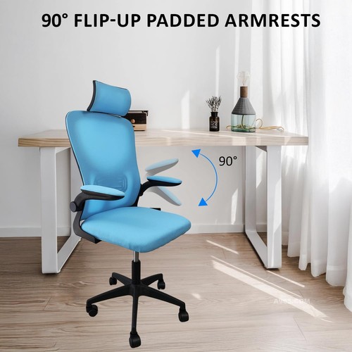 Ergonomic mesh office - office, chair