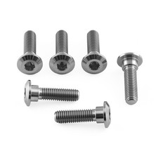 Titanium Disc Bolts Natural
