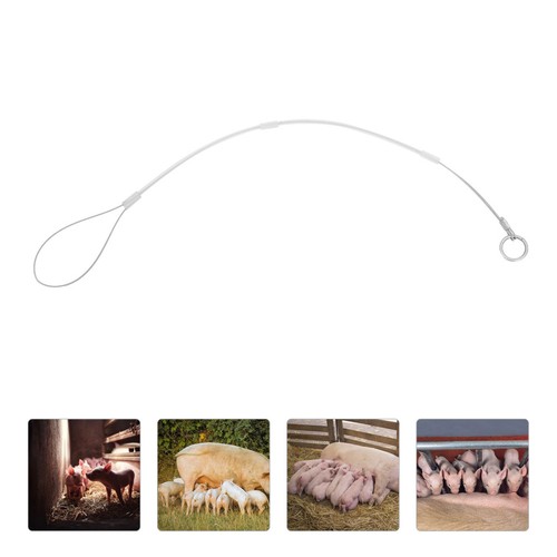 Pig obstetric equipment - ,