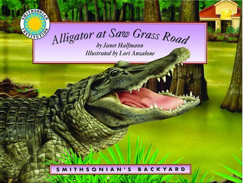 Alligator saw grass road - at,